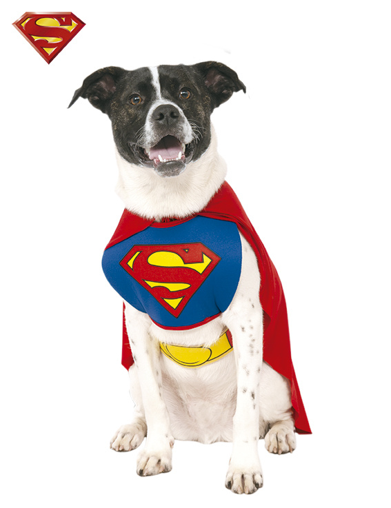 Disfraz Superman mascota