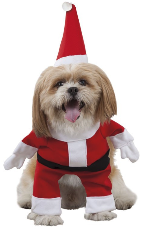 Disfraz  Papa Noel para mascotas