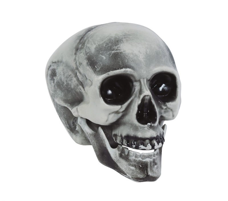 Calavera pvc 20 cms.