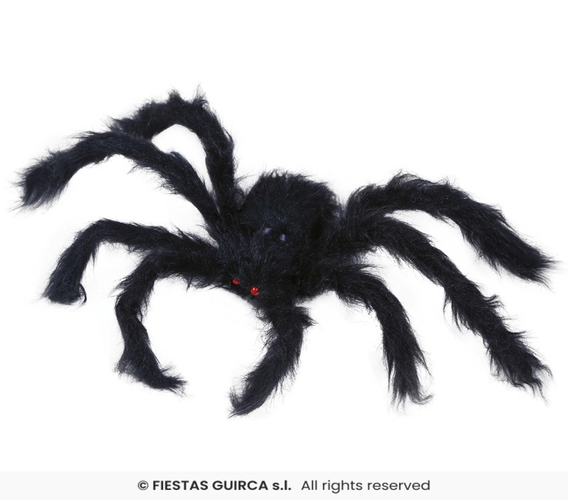 Araña negra peluda 50 cms.