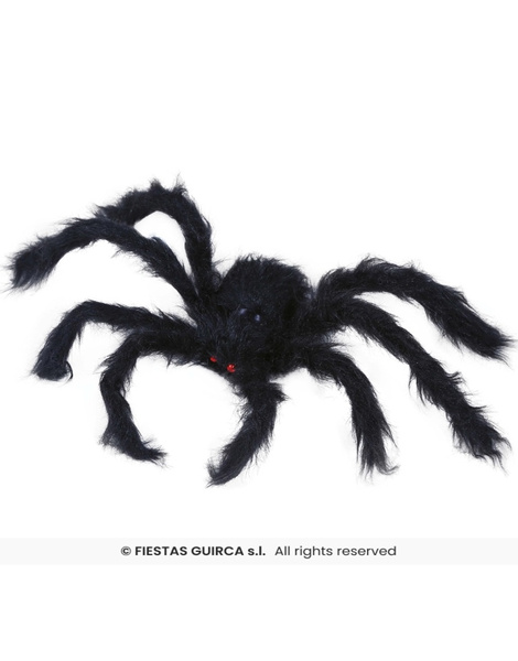 Araña negra peluda 50 cms.