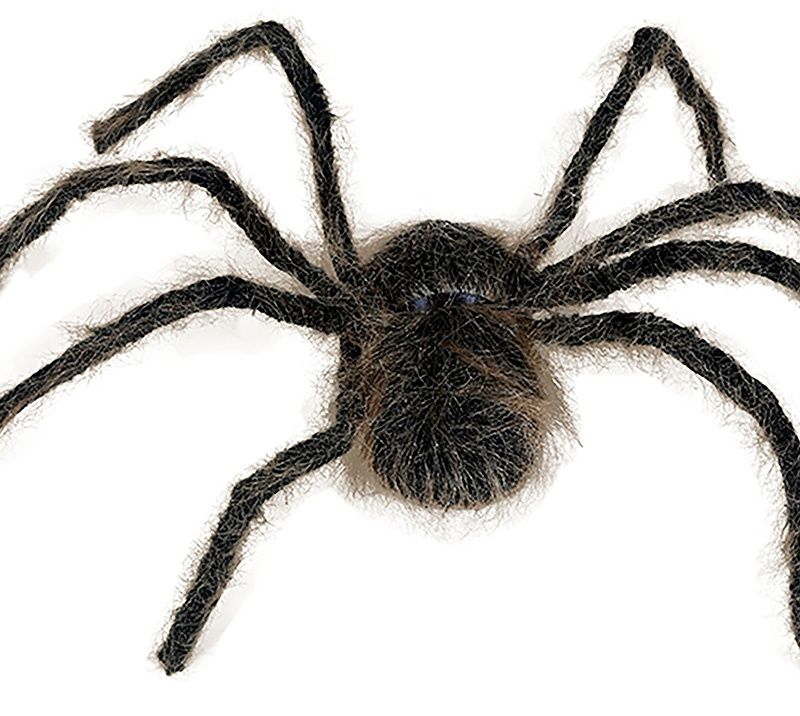 Araña marrón 75 cms.