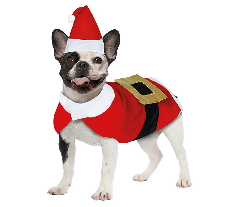 Disfraz Papa Noel para mascotas