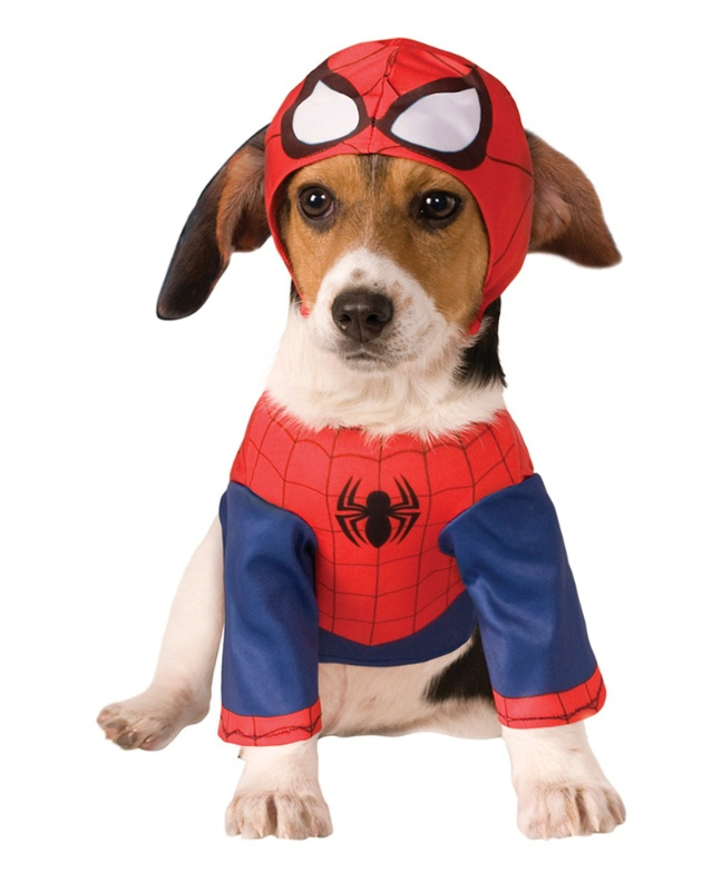 Disfraz Spiderman para mascota T-L