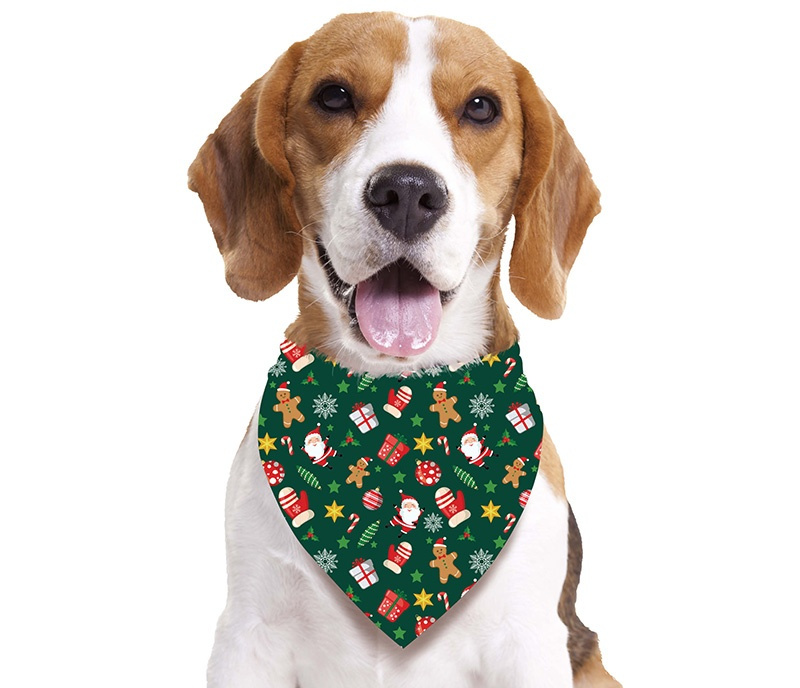 Pañuelo perro estampado verde