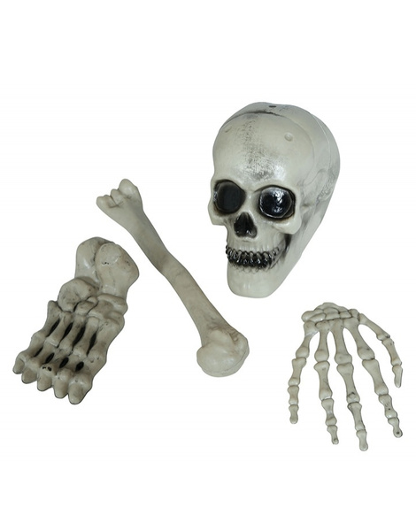 Set Huesos Esqueleto 4 Piezas