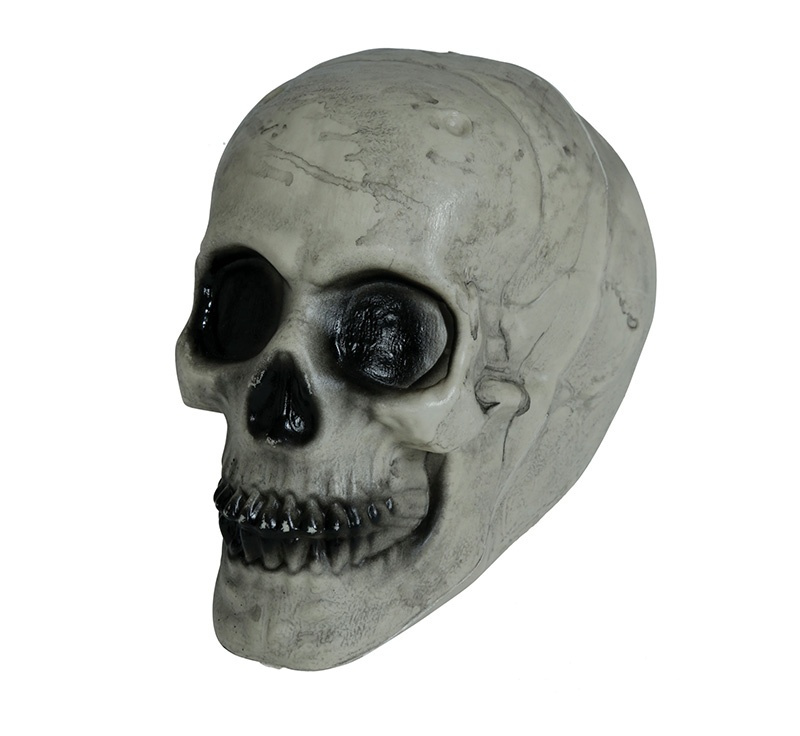 Calavera 20 Cms