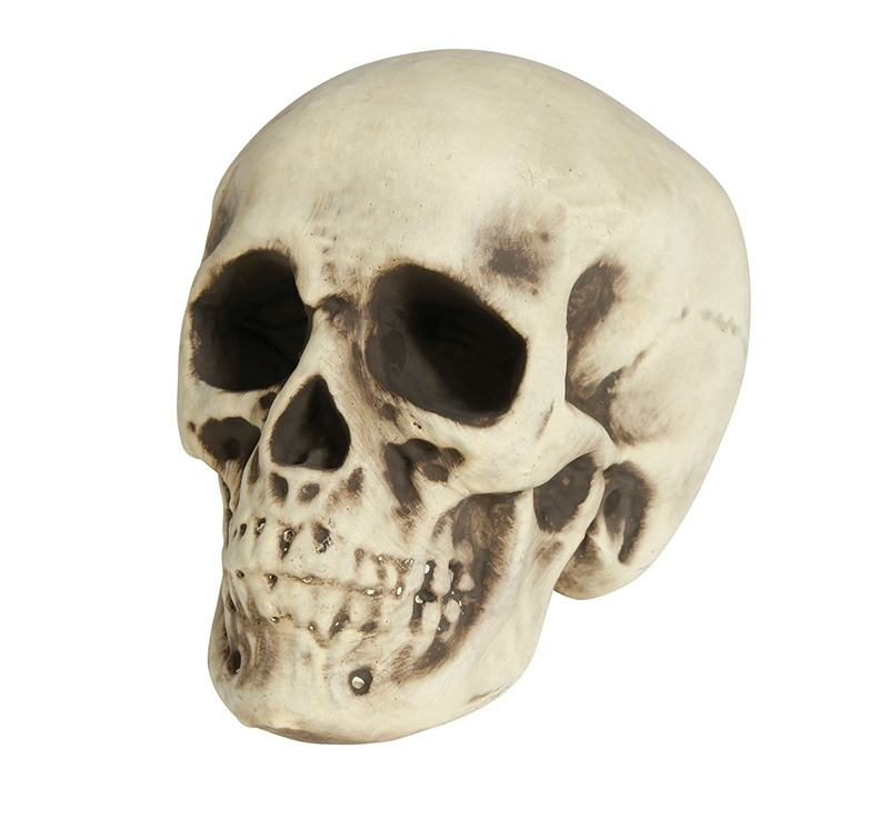 Calavera Foam 20cms