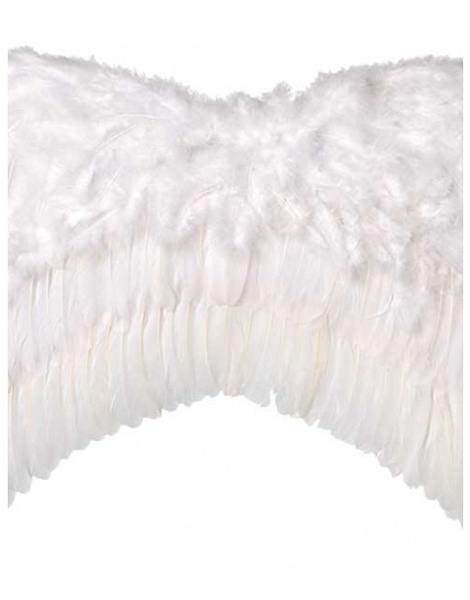 Alas Plumas 39x30cm blanca